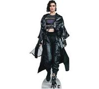 STAR CUTOUTS Figurine en carton (Mary Elizabeth Winstead) La chasseuse film Birds of Prey Hauteur 174 CM Noir