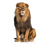 STAR CUTOUTS SC1438 Lion Assis en Carton Adulte Hauteur 155 cm - Idéal pour Le thème des Animaux, Les fêtes, Les Anniversaires et Les Fans, la décoration de Chambre et Les événements