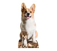 STAR CUTOUTS Silhouette découpée en Carton Corgi Grandeur Nature avec Mini SC4064