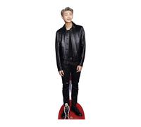 STAR CUTOUTS - Silhouette en carton grandeur nature de Kim NAM-Joon (Rap Monster) de Bangtan Boys avec verte en cuir, multicolore - CS750