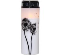 Star Trading Bougie funéraire LED pissenlit blanc chaud minuteur pile 21 cm