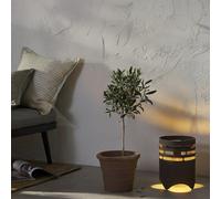 Star Trading, lampe solaire LED, marron, 25 cm, métal, couleur marron