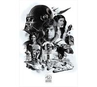 Star Wars 40th Anniversary (Montage) 61 x 91.5 cm Maxi Poster