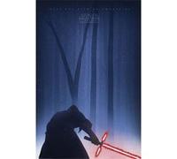 Star Wars Episode VII pack posters Awakening 61 x 91 cm (5) G