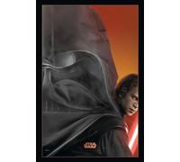 Star Wars Poster Episode III (68,5cm x 101,5cm)