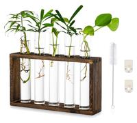 Station de culture en verre, moderne, avec tubes à essai pour fleurs et germinations, sur support en bois