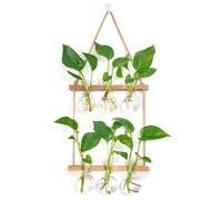 Station de multiplication des plantes à fixer au mur, avec support en bois, 3 bulbes, vase en verre à deux étages, pots de multiplication, culture hydroponique, boutures, pour la maison, le jardin et