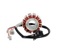 Stator de moto Pour Italika ATV200 2020-2025 | OEM: bobine de Stator de générateur d'allumage de moto E05010065