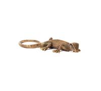Statue : Lézard bronze en polyrésine 46,5 cm - - Or / Doré - Résine