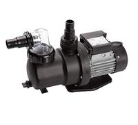 Steinbach 040920 SPS 75-1 Pompe de Filtration Auto-amorçante sans minuteur, Noir,Argent