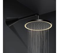 Steinberg 310 Douche de tête, 1 jet, 310 1686 S,