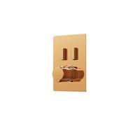Steinberg Série 390 Set de montage final, pour thermostat encastré 1/2, slidetronic, pour 2 consommateurs, 39049233RG, Couleur: Or rose