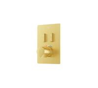 Steinberg Série 390 Set de montage final, pour thermostat encastré 1/2, slidetronic, pour 2 consommateurs, 39049233BG, Couleur: Or brossÃ©