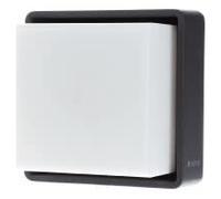 Steinel Lampe d'extérieur à LED à détecteur L 845 SC ANT 3000K 078645