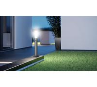 Steinel LED Lampe d'allée GL 65 S avec détecteur de mouvement