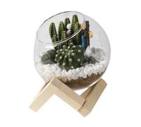 Stgfyxgs Pot de Fleurs en Verre, Décoration Végétale Légère et Tendance, Idéal pour La Chambre d'enfant, Le Bureau Ou Le Jardin, 10CM