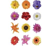 Herma Autocollants DECOR 'Petites fleurs' – Papier, décoration murale