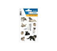 Autocollants DECOR 'Photos de chats'