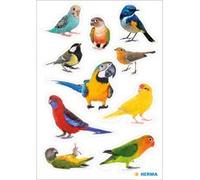 Sticker DECOR Rapaces