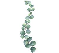 Sticker décoratif, illustration de branche d'eucalyptus dans un style aquarel, 68 cm X 24 cm