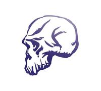 Sticker Logo Skull Tête De Mort 3 Adhésif Autocollant - Plusieurs Coloris Bleu Réfléchissant 5.5 X 6