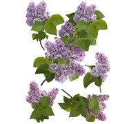 Sticker mural déco intérieure, photo branches de lilas et violettes, 68 cm X 48 cm, décorez votre maison avec ce grand format.