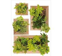 Sticker mural décoratif 68x24cm - Déco murale avec photo de jardinière en bois et plantes vertes pour une ambiance naturelle et chaleureuse.