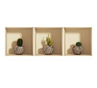 Stickers adhésifs 3D | Sticker Mural Autocollant effet 3D cactus exotiques - Stickers muraux Chambre Adulte - Stickers muraux 3D - Decoration Murale Salon - Autocollants muraux Trompe l'oeil | 30x90cm