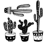 Stickers muraux – Bohemian 4 Cactus mexicain – Fond transparent – 75 x 70 cm