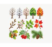 Stickers Muraux Chambre Enfant Quatre saisons, lot de 12, Arbre d'hiver, fleurs de printemps, arbre d'été, arbre d'automne, autocollants repositionnables, 150 x 150 cm