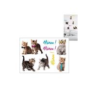 Stickers Muraux Chatons Multicolore G