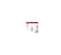 Stickers Roseaux - 1 Planche 20 x 70 cm