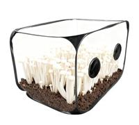 Still Air Box, Sac De Culture Portable pour Champignons, Kit De Culture De Champignons, 60x60x90 Cm Still Air Box pour Champignons pour Les Amateurs De Champignons, Culture Polyvalente