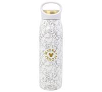 STOR Bouteille Mickey Mouse en Acier Inoxydable 665ml avec Bouchon Étanche et Anse de Transport pour Usage Quotidien
