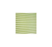 Blindecor Iris Store Enrouleur translucide rayé Tissu Pistache 100 x 180 cm