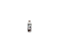 Storline Dc Comics Bouteilles Hydro (Carton De 6) Harley Quinn