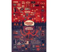 Stranger Things Poster The Upside Down (61cm x 91,5cm) + Un Joli Emballage Cadeau