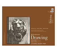 Strathmore 400-108 Série 400 Dessin Surface lisse Reliure à spirale 45,7 x 61 cm 24 feuilles