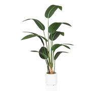 STRELITZIA - Plante artificielle Vert