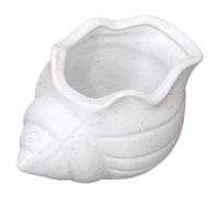 Striegro Jardinière succulente avec Trous de Drainage, Pot de Plantes Peu Profond en Coquillage, Blanc
