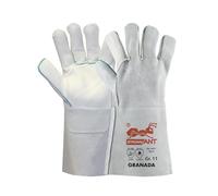 strongAnt GRANADA-Gants de soudure longs en cuir fleur de vachette, gants de travail également adaptés aux grillades, gants de sécurité - TÜV GS - Gris
