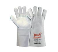 strongAnt GRANADA-Gants de soudure longs en cuir fleur de vachette, gants de travail également adaptés aux grillades, gants de sécurité - TÜV GS - Gris