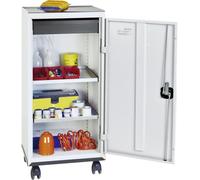 Stumpf Armoire à outils et matériel série 3000 gris clair + 1 tiroir 100 mm + 2 tablettes coulissantes Support à roulettes - 3093107