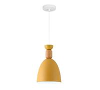 STVDEDG Lustres D'ambiance Pour Chambre À Coucher Luminaires Décoratifs Pour Bar De Véranda Suspensions Industrielles Vintage En Métal Lampes Suspendues Colorées Pour Salle À Manger Pour Îlot