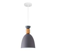 STVDEDG Lustres D'ambiance Pour Chambre À Coucher Luminaires Décoratifs Pour Bar De Véranda Suspensions Industrielles Vintage En Métal Lampes Suspendues Colorées Pour Salle À Manger Pour Îlot