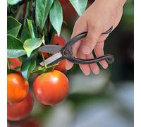 Stylebest Ciseaux de Taille à Poignée Ergonomique, Outil de Jardinage en Acier pour Arrangement Floral bonsaï, 18cm (Préfecture Ike no Tomb)