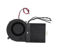 Stylebest Dégivreur de Chauffage de Voiture 2 en 1, Ventilateur Portable en Alliage de Céramique avec Puissance Réglable pour Désembuage des Pare-brise, Camping