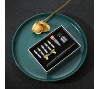 Stylo À Encre Pour Calligraphie + 5 Plumes, Coffret Cadeau Pour Lettrage Et Croquis