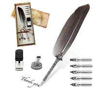 Stylo Dip à Plume, Plume d'oie à Encre, Set de Calligraphie Vintage avec avec 5 Plumes de Rechange, Encre, Porte-stylo (gris)