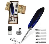 Stylo Dip à Plume, Plume d'oie à Encre, Set de Calligraphie Vintage avec avec 5 Plumes de Rechange, Encre, Porte-stylo (bleu)